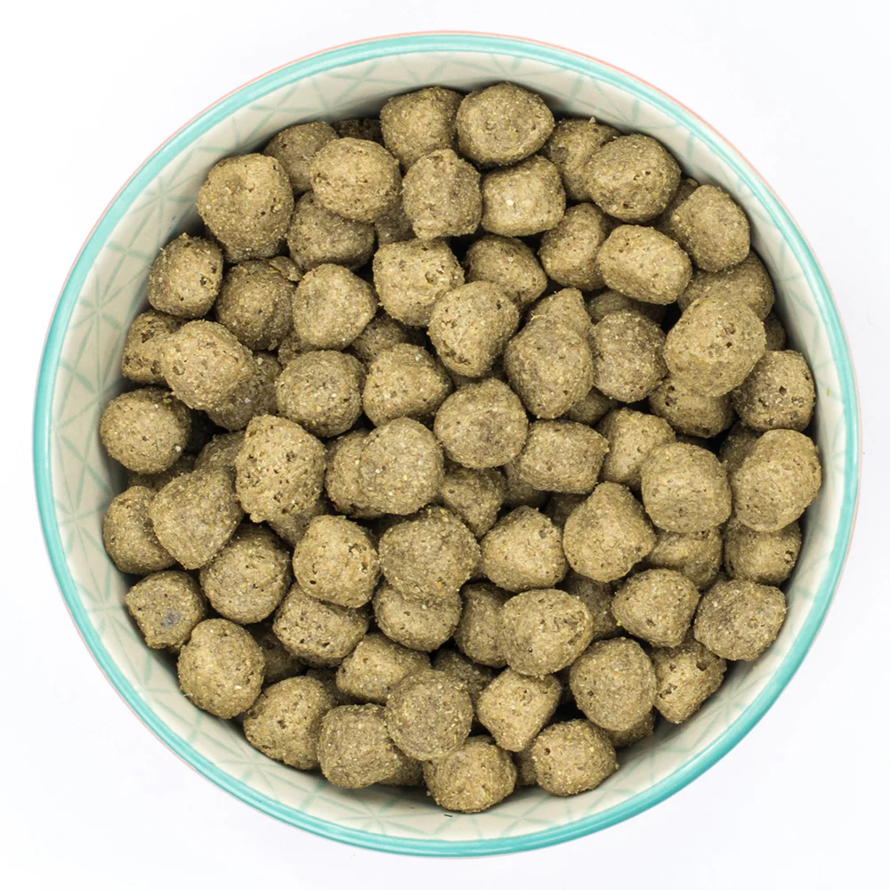Burns Adult Sensitive - Pork & Potato 12kg - Image 2