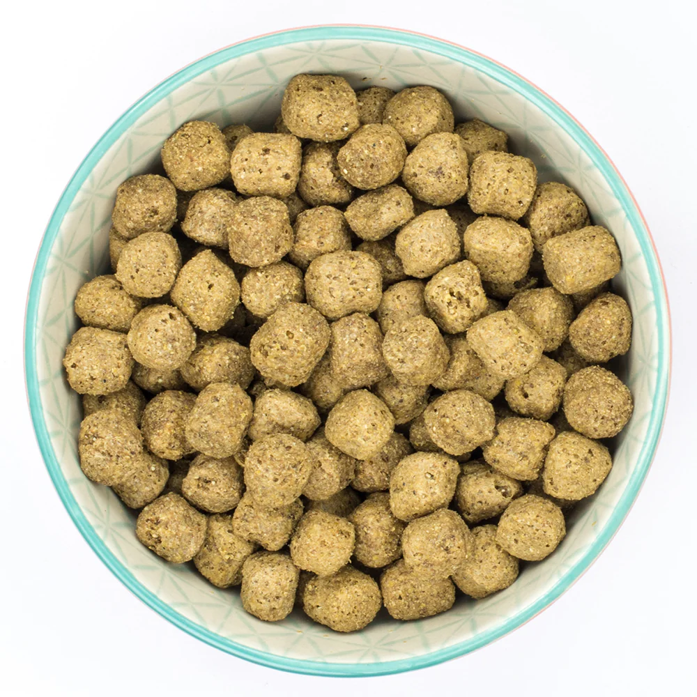 Burns Sensitve with Chicken (6kg) - Image 2