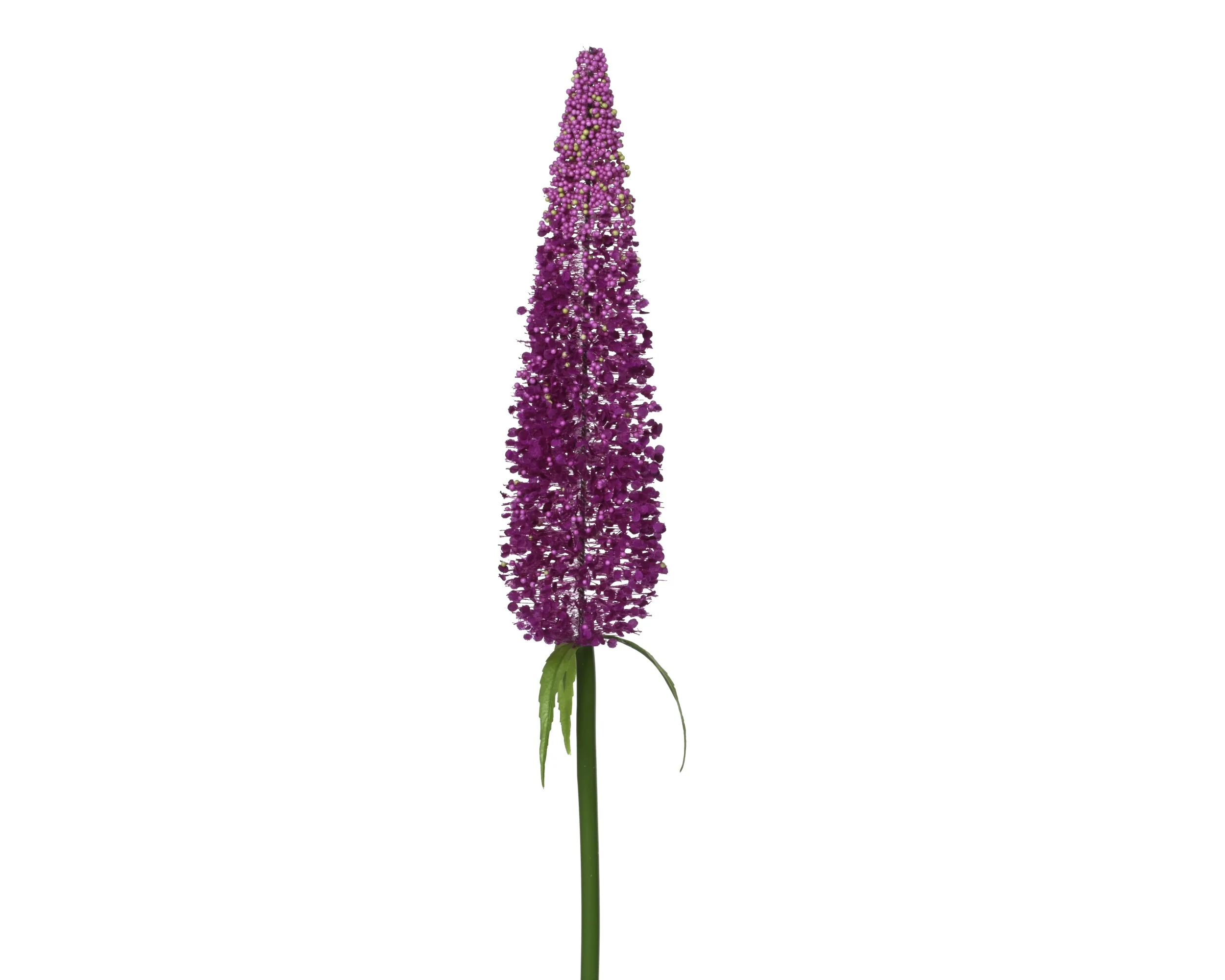Bush stem purple