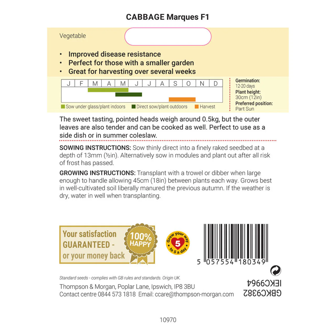 Cabbage 'Marquess' F1 Hybrid (Autumn Sweetheart Type) - Image 2