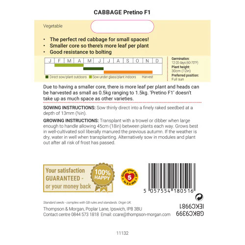Cabbage 'Pretino' F1 - Image 3