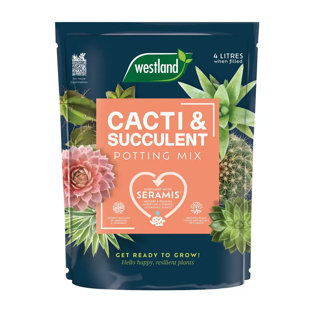 Westland Cacti & Succulent Potting Mix 4 Litre