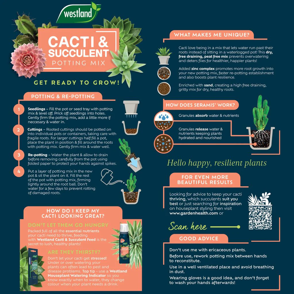 Westland Cacti & Succulent Potting Mix 4 Litre - Image 2