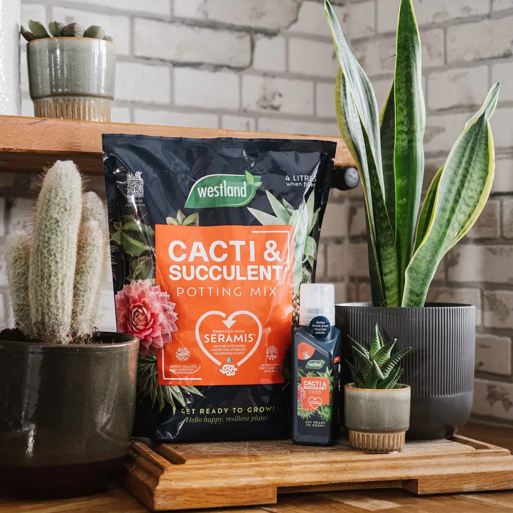 Westland Cacti & Succulent Potting Mix 4 Litre - Image 3