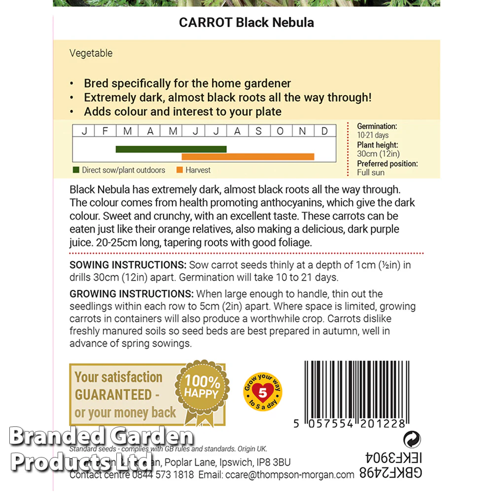 Carrot 'Black Nebula' - Image 2