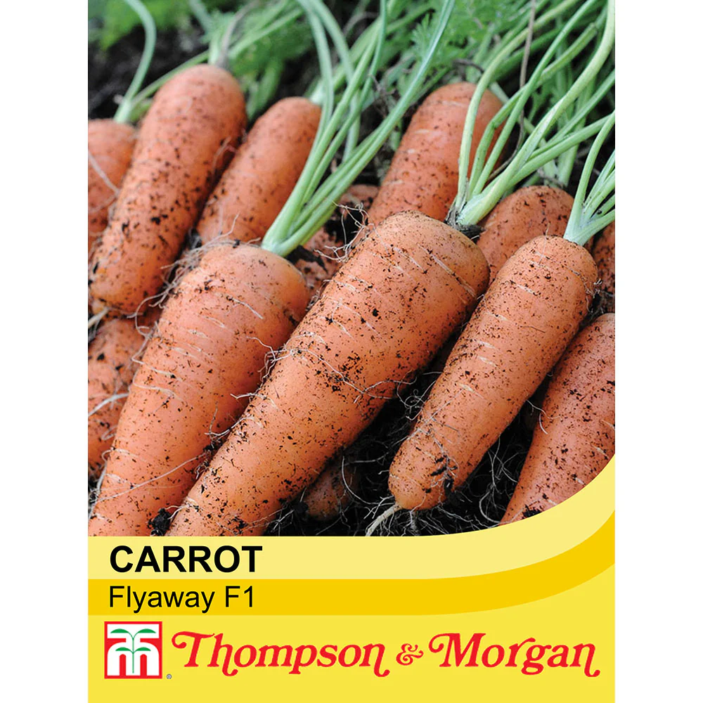 Carrot 'Flyaway' F1 Hybrid