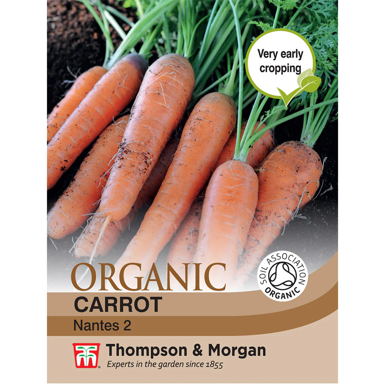 Carrot Nantes 2 Organic