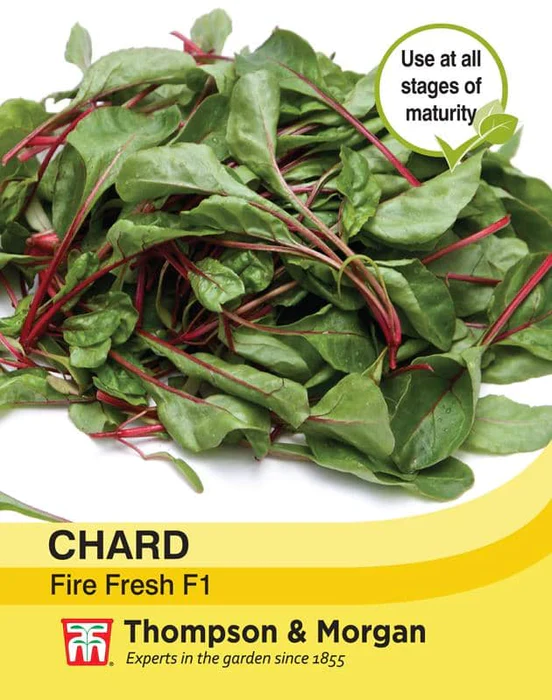 Swiss Chard 'Fire Fresh'