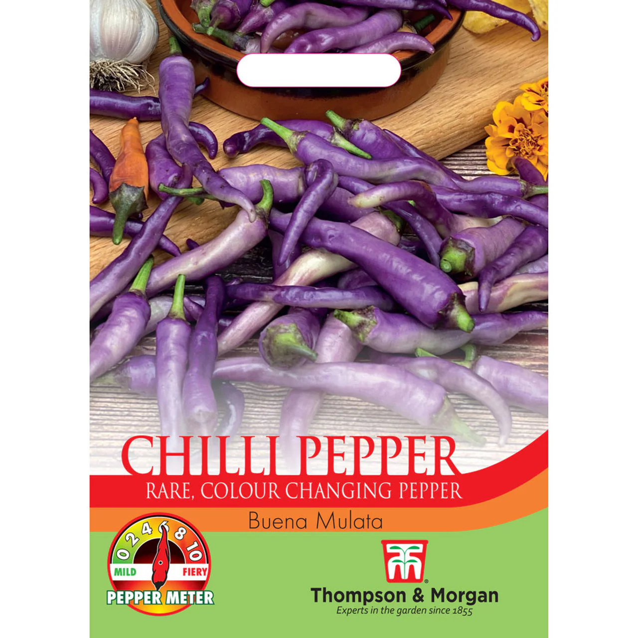 Chilli Pepper 'Buena Mulata'