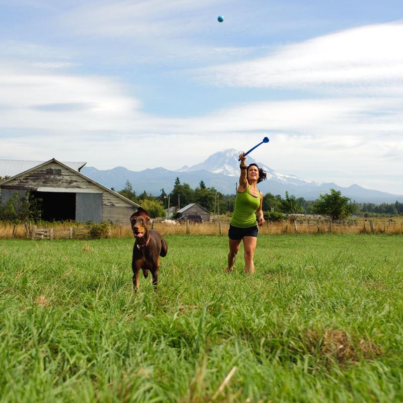 Chuckit Tennis Ball Launch - Image 2