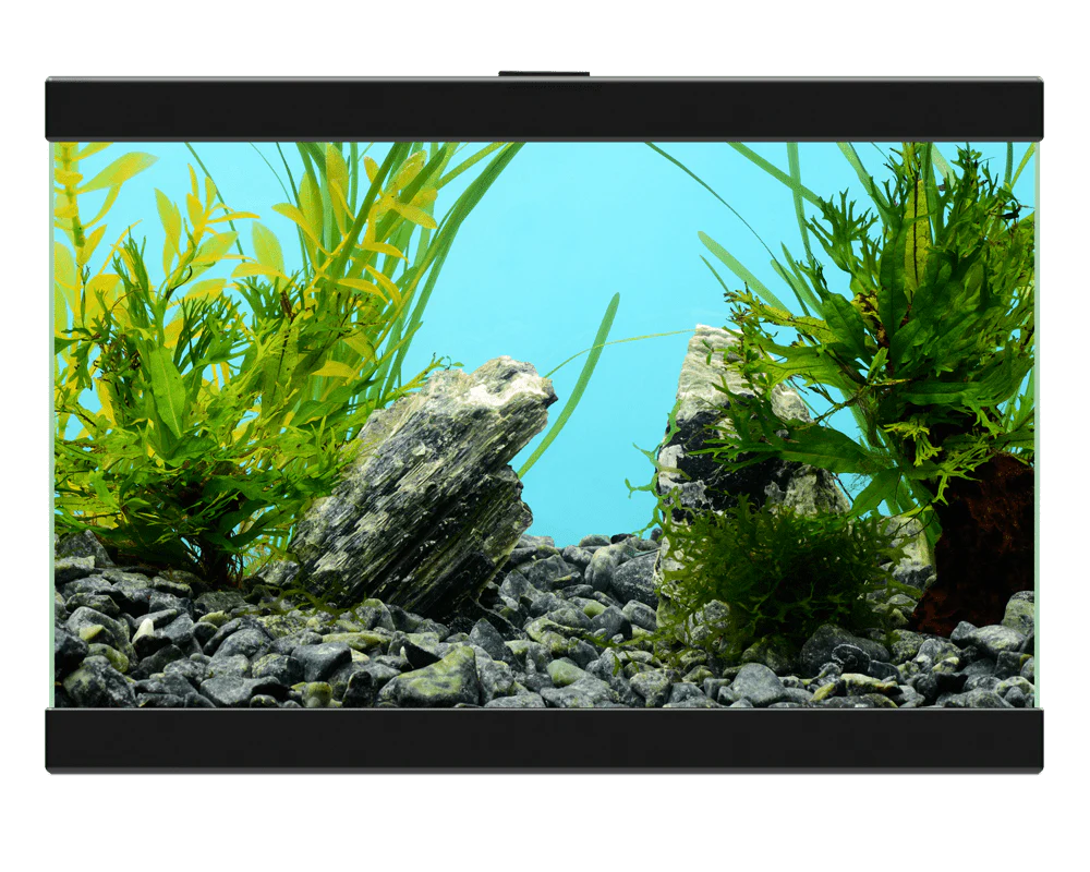 Ciano Aqua 15 Classic Black With Filter (13 Litre) - Image 4