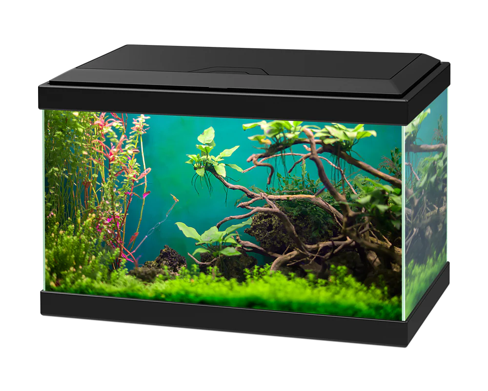 Ciano Aqua 20 Classic Black With Filter (17 Litre)