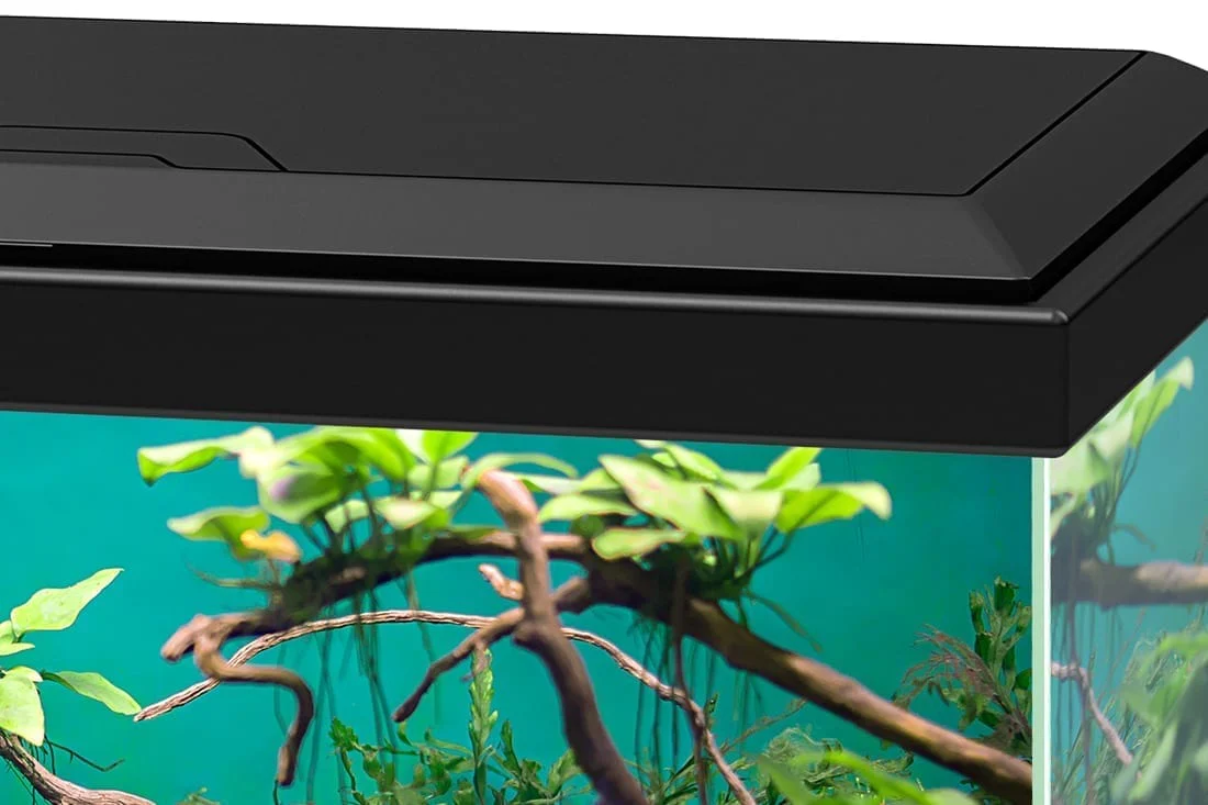 Ciano Aqua 20 Classic Black With Filter (17 Litre) - Image 5