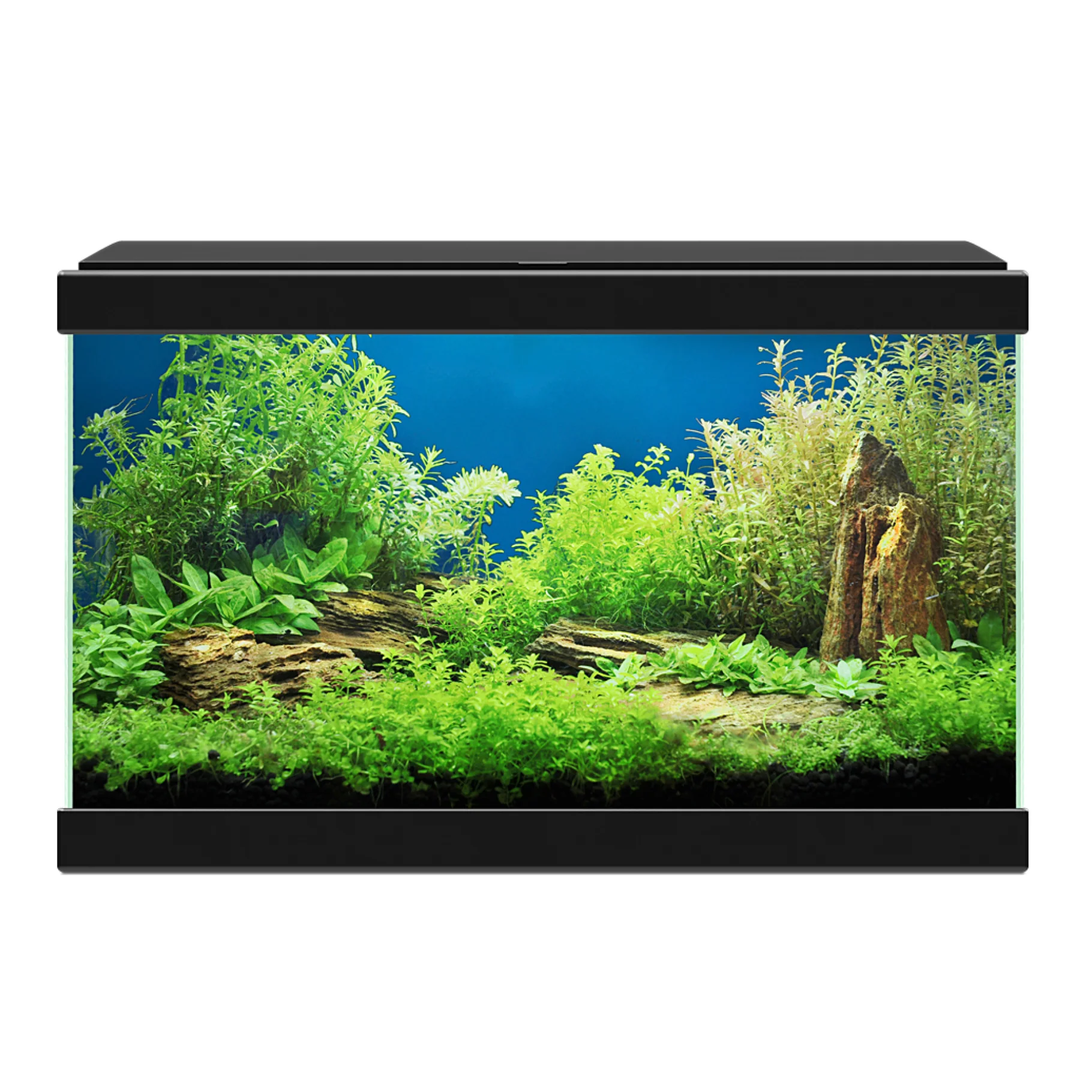 Ciano Aqua 20 LED Black With Light 17 Litre