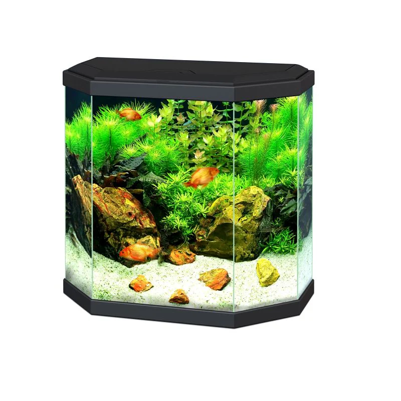 Ciano Aqua 30 Hex Black With LED Lights & Filter 25 Litre