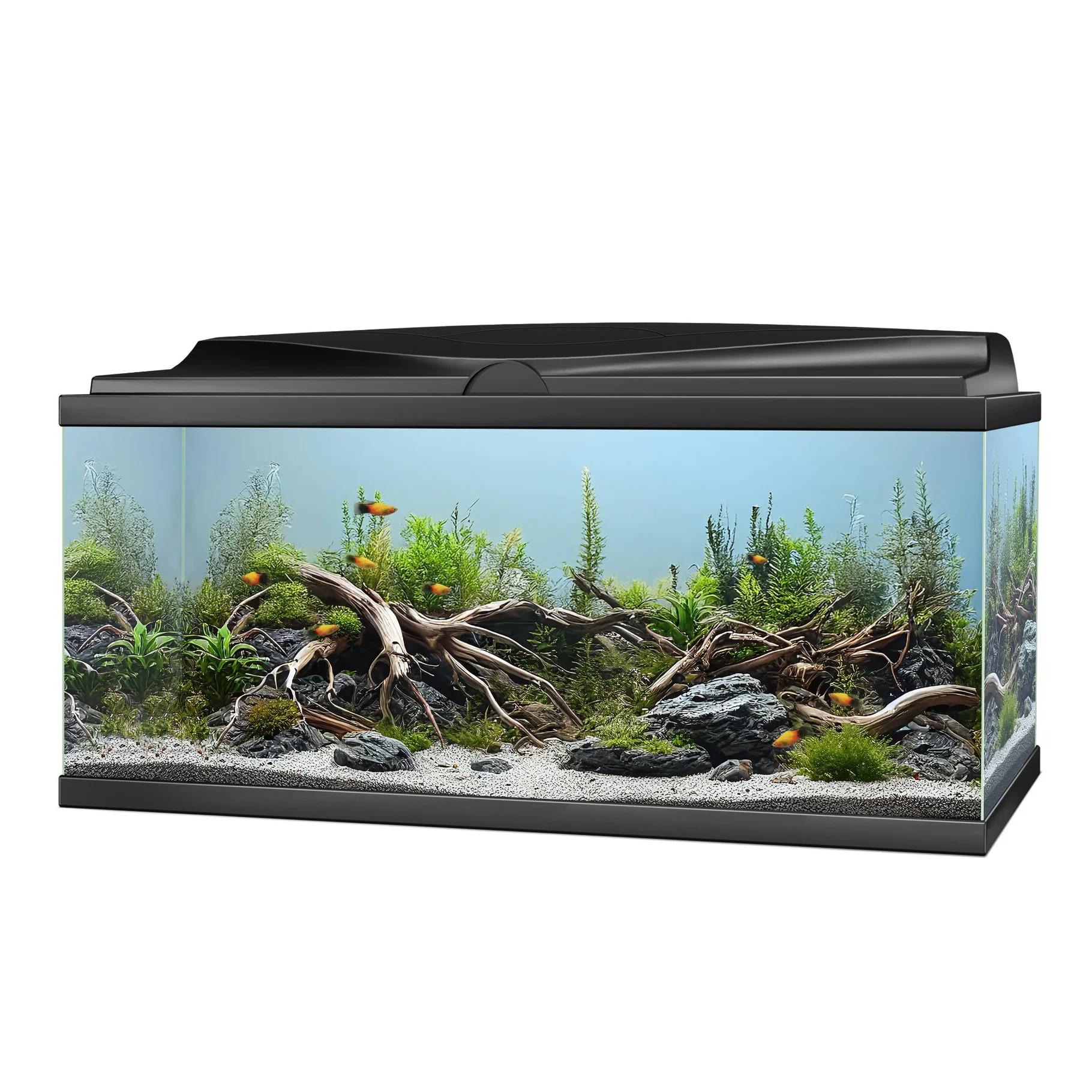 Ciano Aqua 85 LED Black 74 Litre - NEW MODEL - Image 6