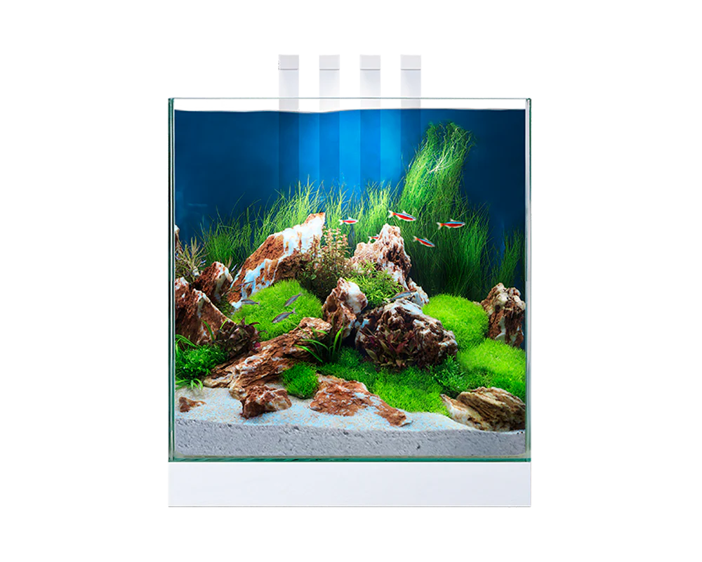 Ciano Nexus Pure 25 Aquarium With LED Lights 22 Litre - Image 2