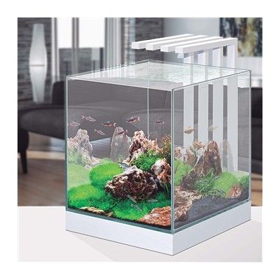 Ciano Nexus Pure 25 Aquarium With LED Lights 22 Litre - Image 4
