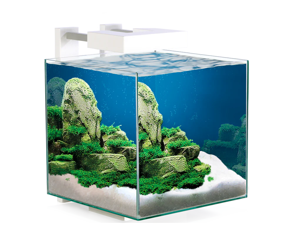 Ciano Nexus Pure Cube 15 With LED Lights 14 Litre