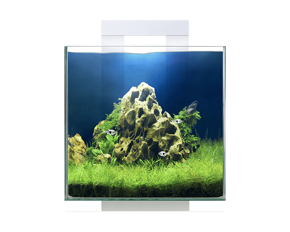 Ciano Nexus Pure Cube 15 With LED Lights 14 Litre - Image 2