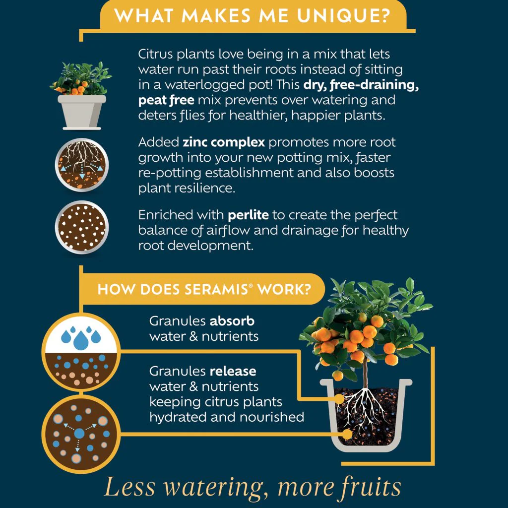 Westland Citrus Potting Mix Peat Free 10L - Image 2