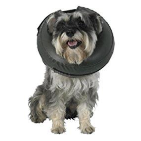 Thrive Comfy Collar (Small) - Image 2