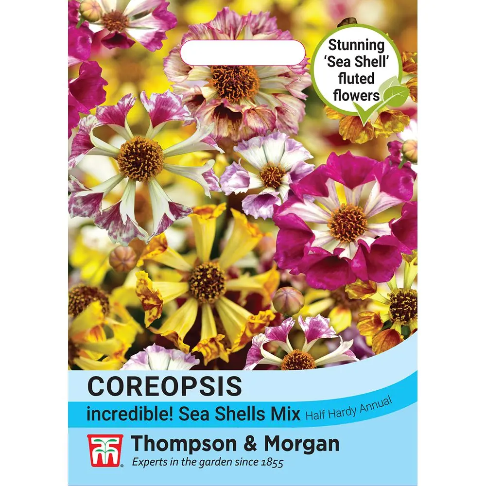 Coreopsis Incredible Sea Shells Mix