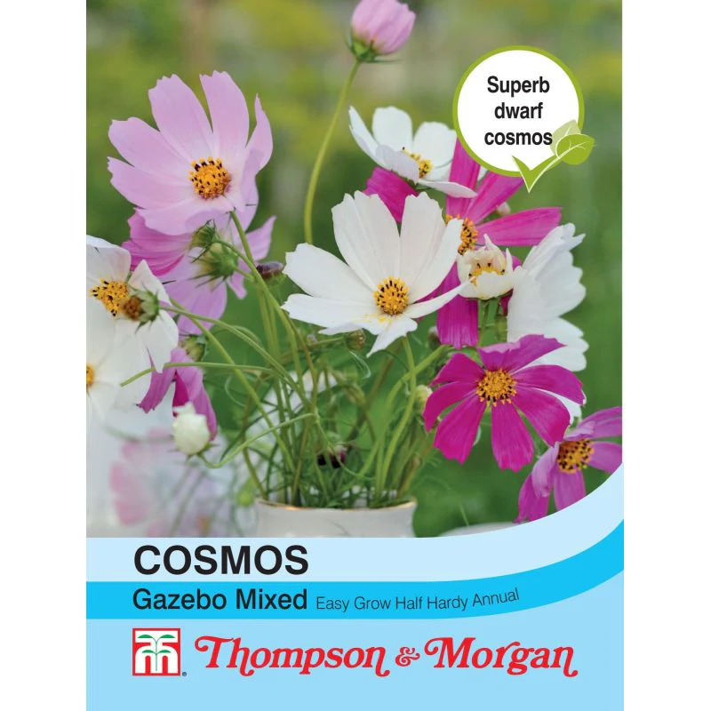 Cosmos bipinnatus 'Gazebo Mixed'