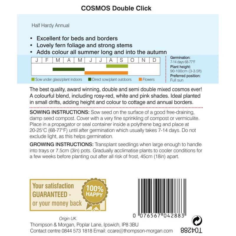 Cosmos Double Click - Image 2