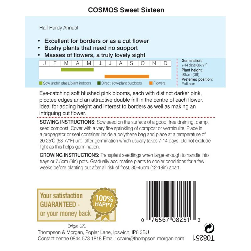 Cosmos Sweet Sixteen - Image 2