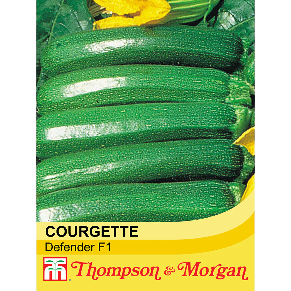 Courgette 'Defender' F1 Hybrid
