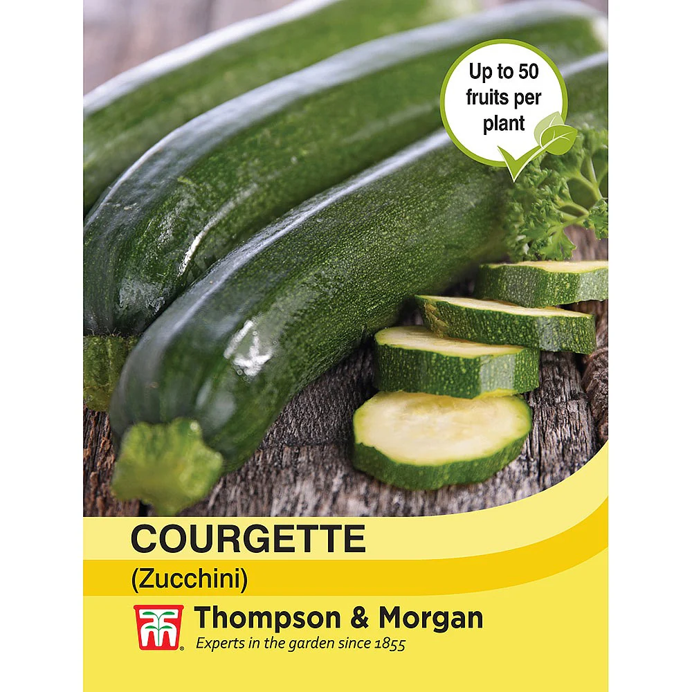 Courgette Zucchini
