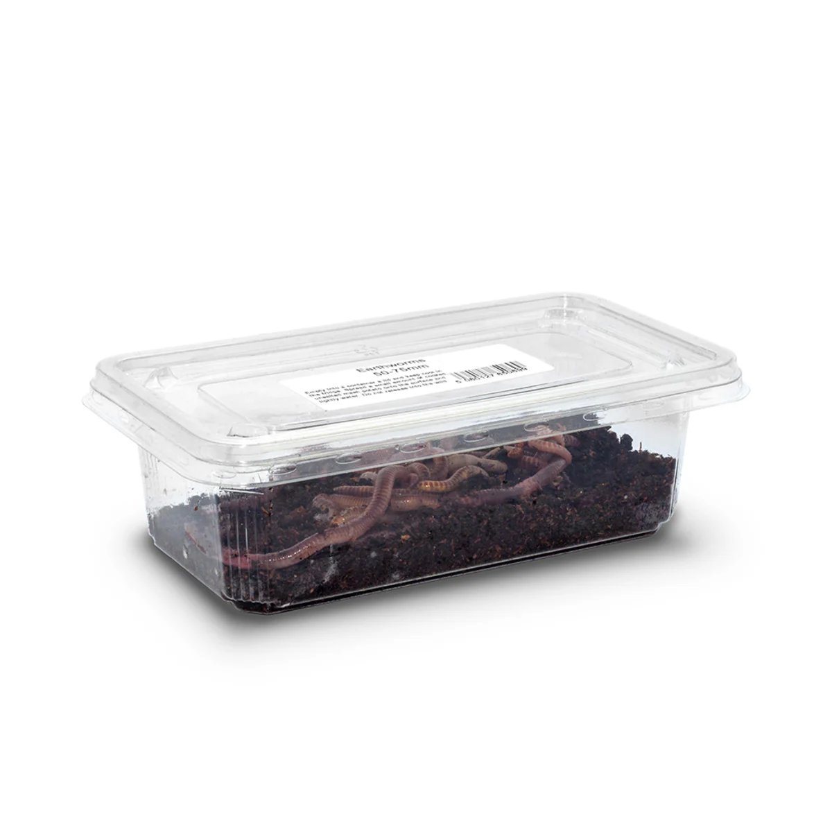Earthworms (50-75mm) - Image 4