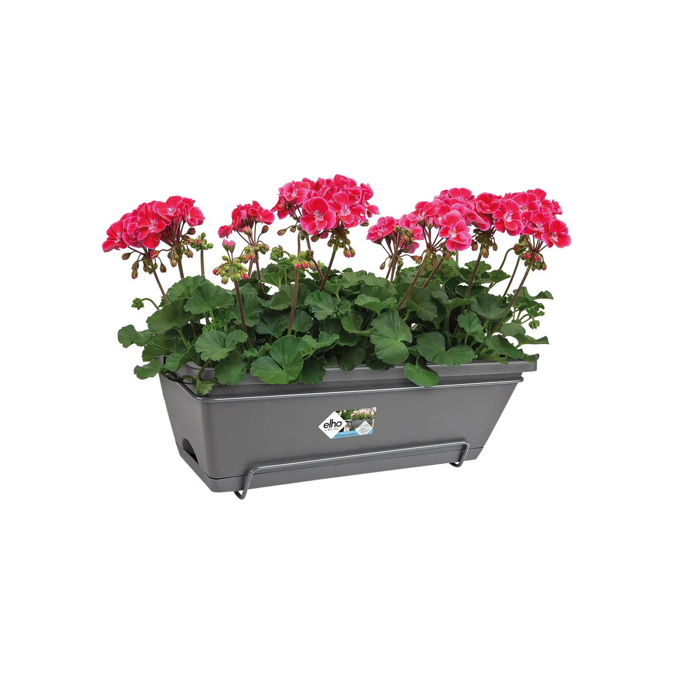 Elho Barcelona All in One 50cm Window Box Anthracite - Image 3