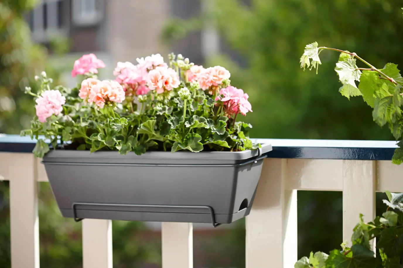 Elho Barcelona All in One 50cm Window Box Anthracite - Image 4