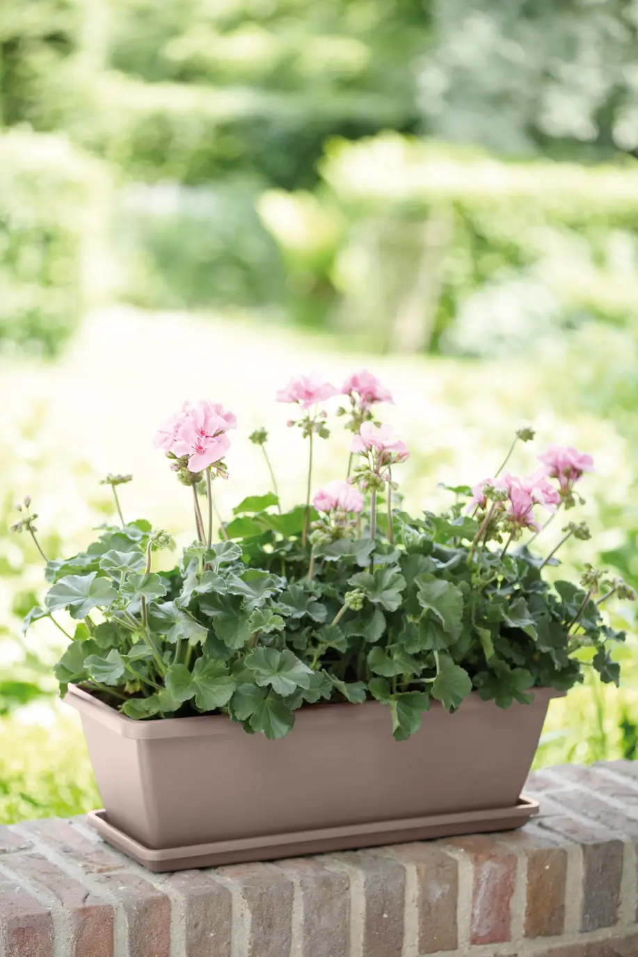 Elho Barcelona Trough 40cm Taupe - Image 3