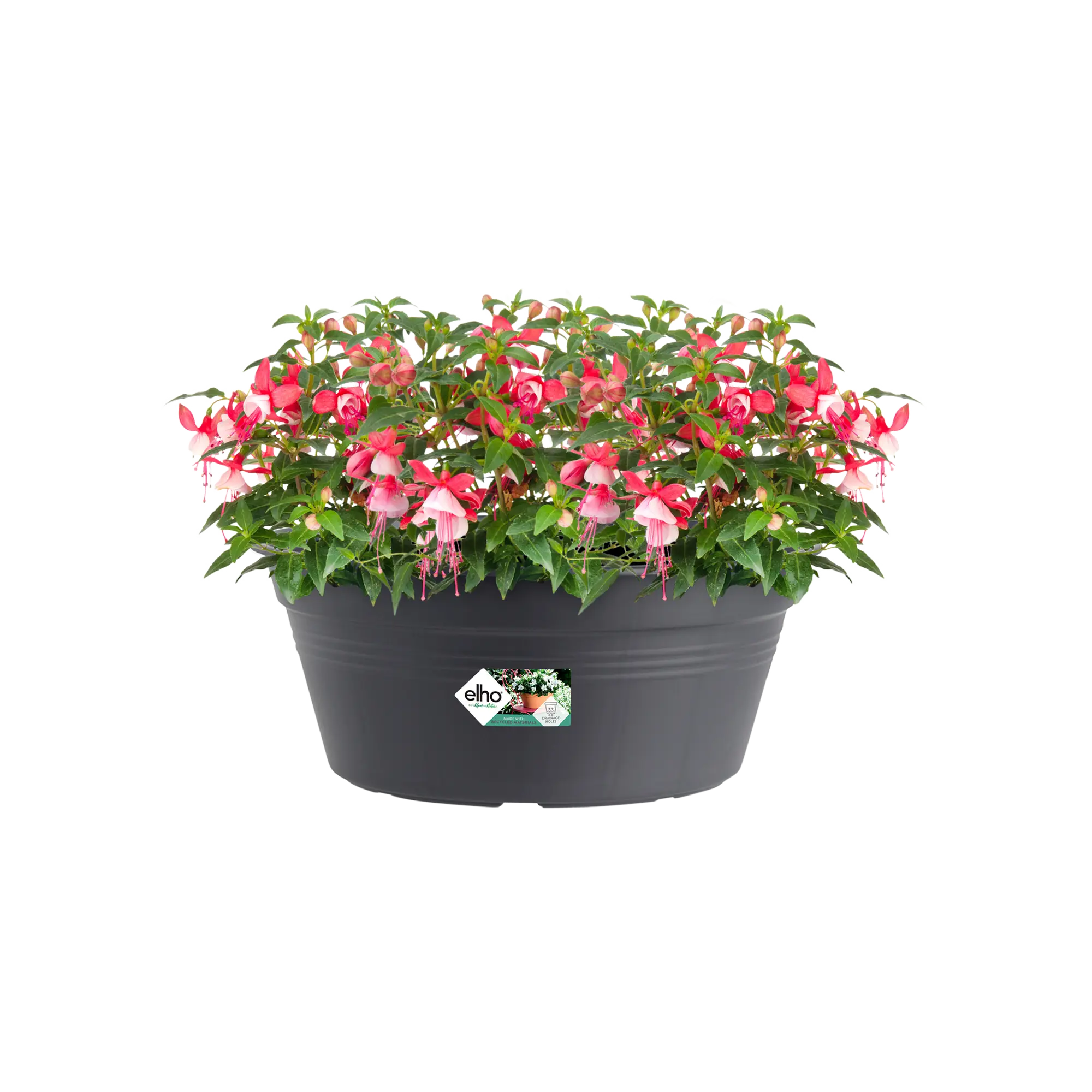 Elho Green Basics Bowl 38cm Living Black - Image 4