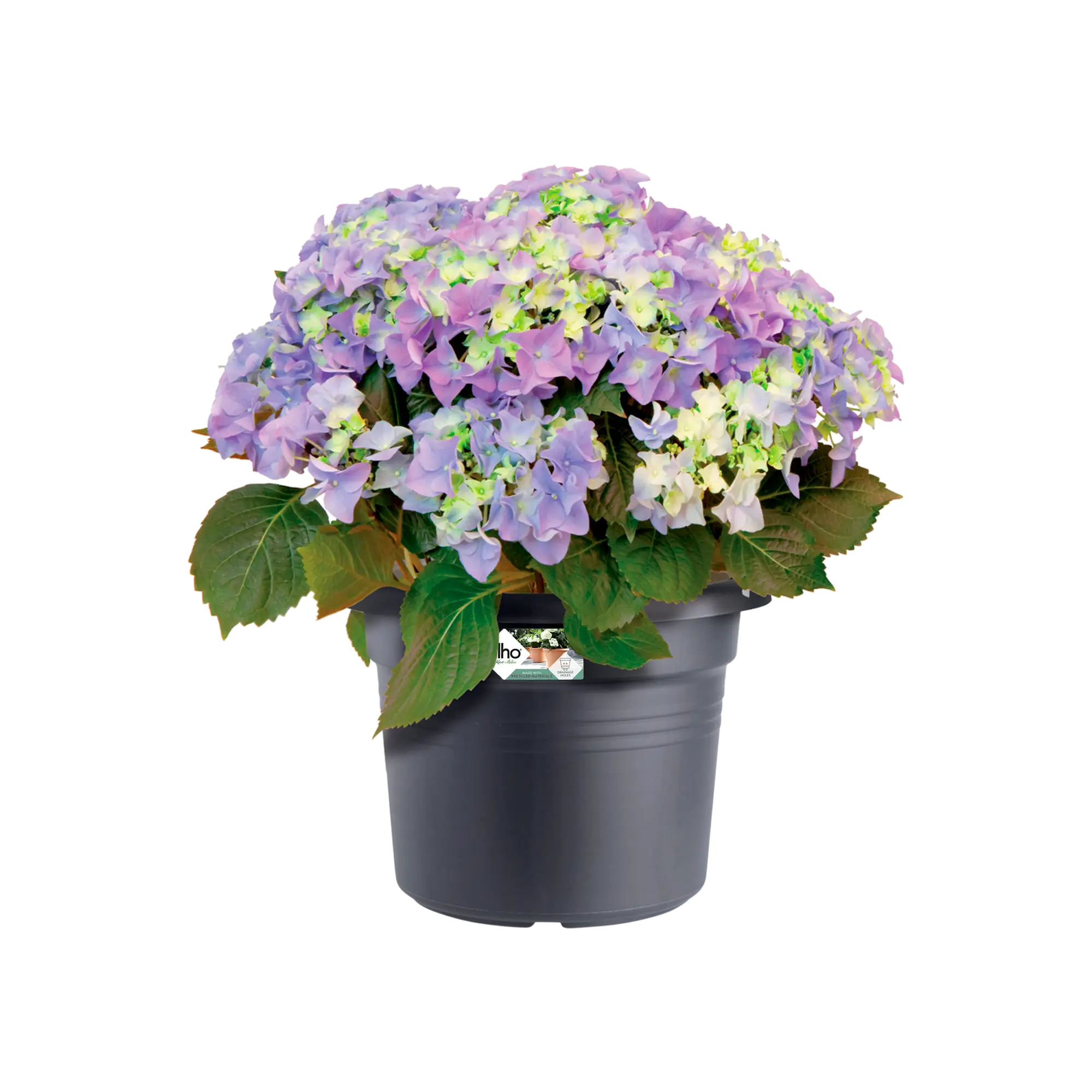 Elho Green Basics Cilinder 65cm Living Black - Image 3