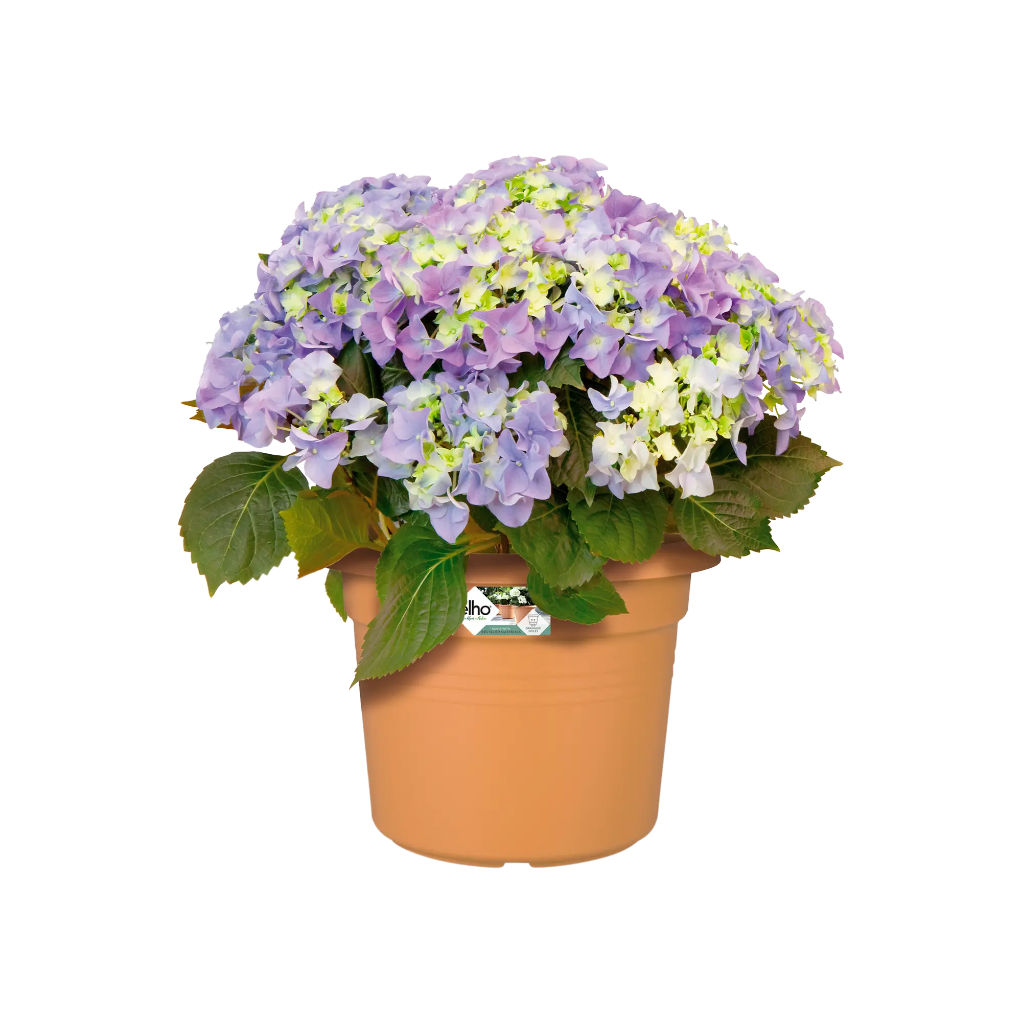 Elho Green Basics Cilinder 65cm Mild Terracotta Colour - Image 3