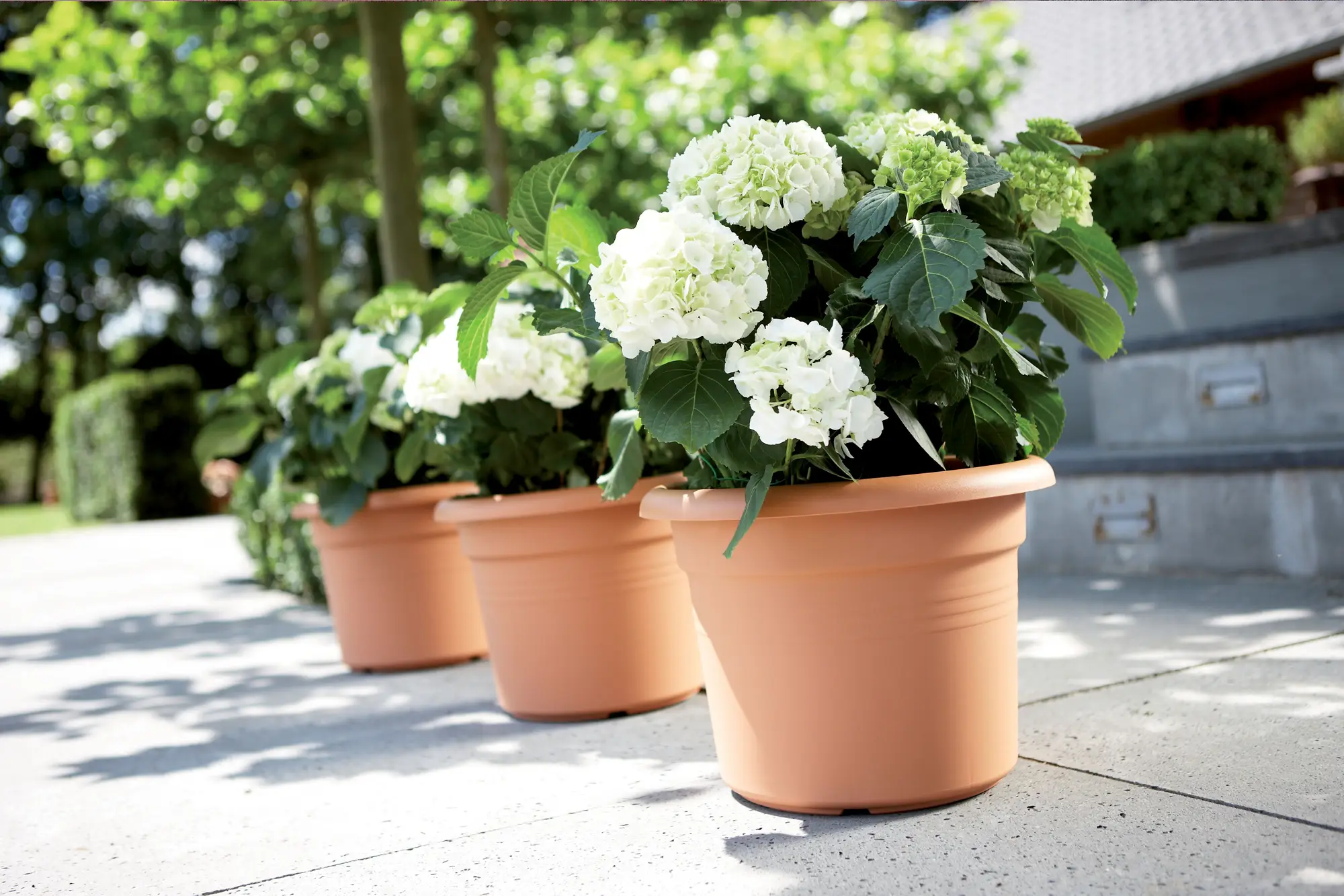 Elho Green Basics Cilinder 65cm Mild Terracotta Colour - Image 4