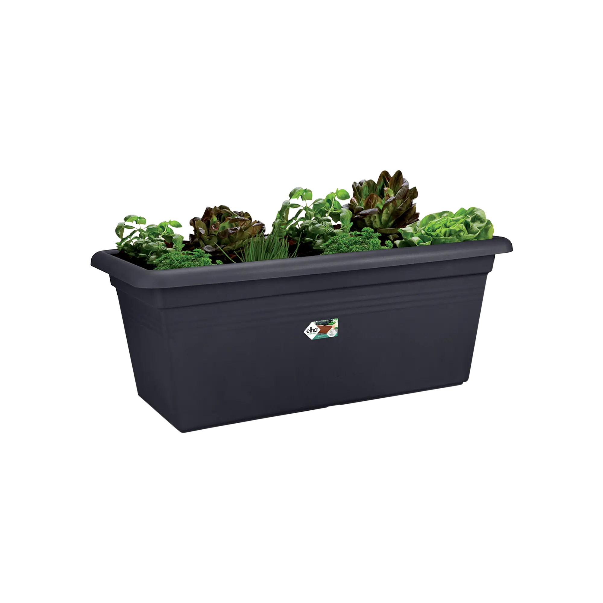 Elho Green Basics Garden XXL 100cm Living Black - Image 3