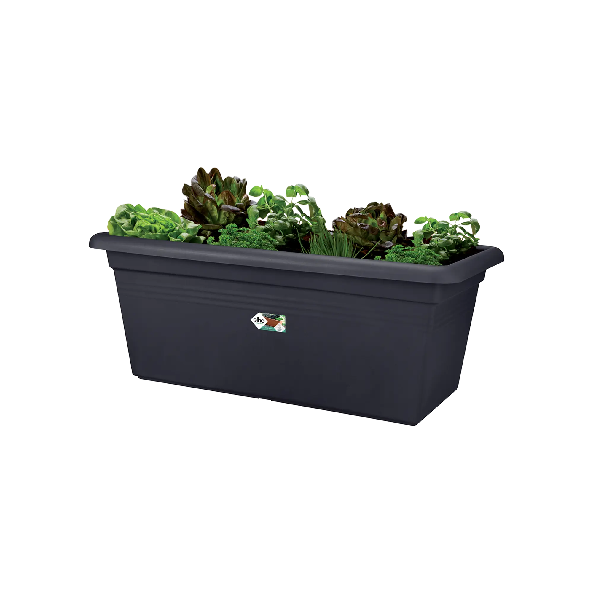 Elho Green Basics Garden XXL 60cm Living Black - Image 3