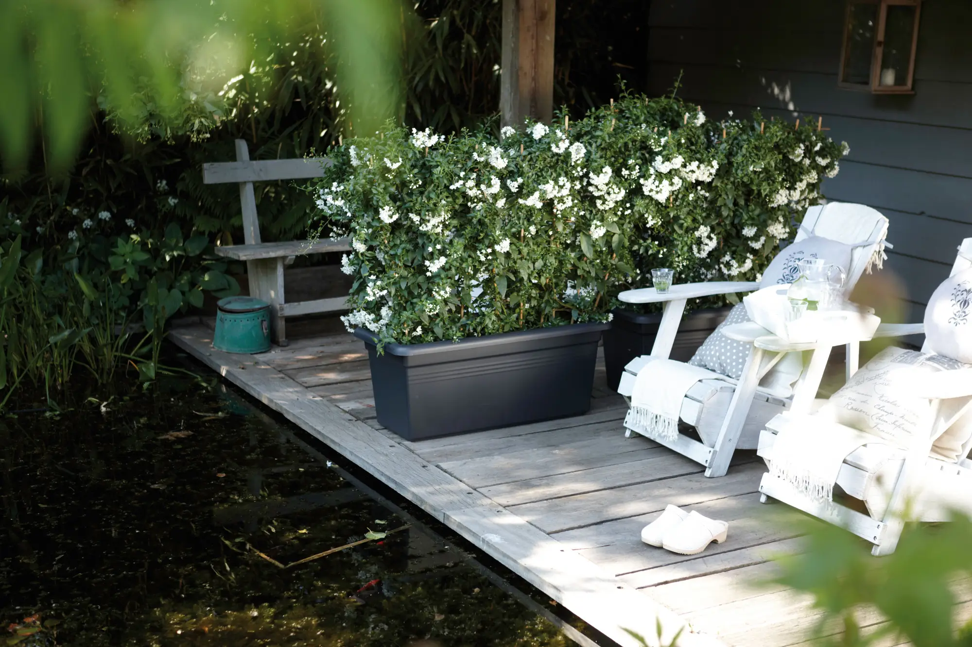 Elho Green Basics Garden XXL 60cm Living Black - Image 4
