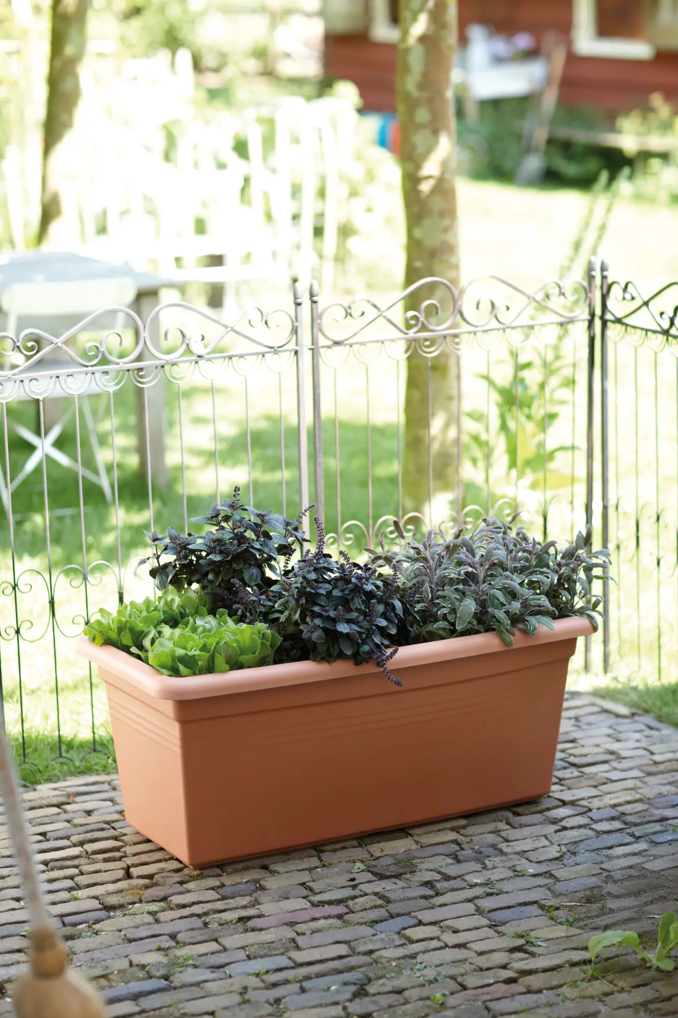 Elho Green Basics Garden xxl 60cm Mild Terracotta colour - Image 4