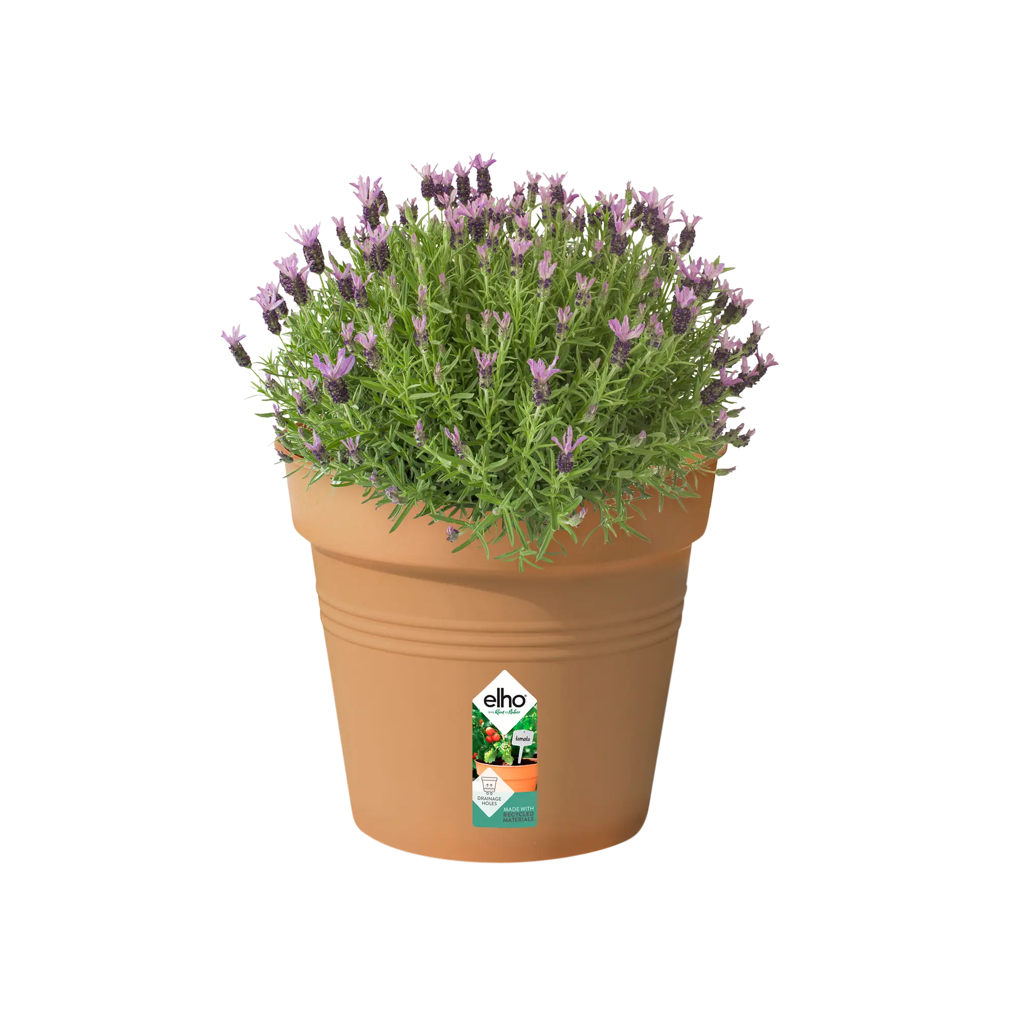 Elho Green Basics Growpot 35cm Mild Terracotta Colour - Image 3