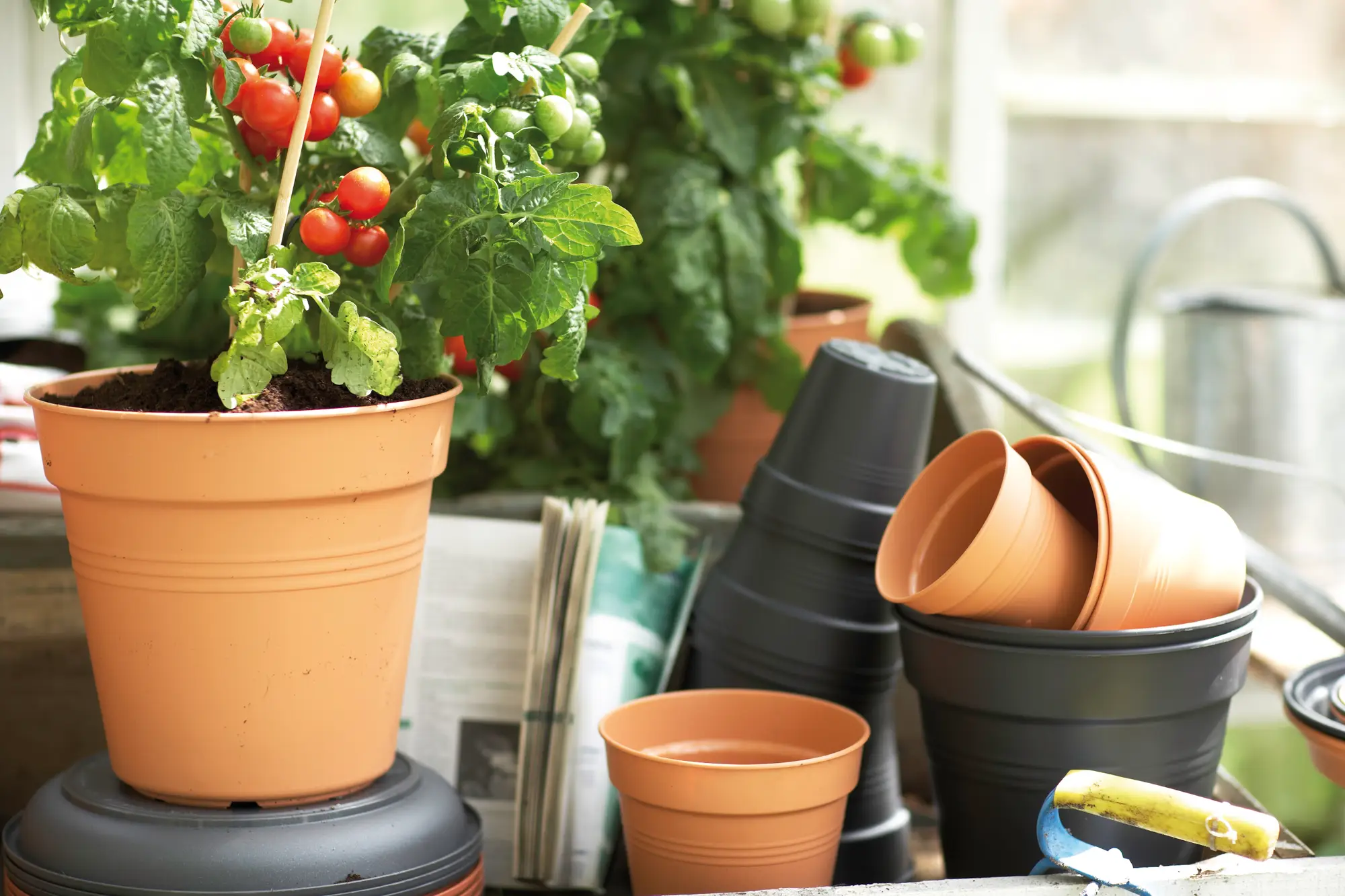 Elho Green Basics Growpot 35cm Mild Terracotta Colour - Image 4