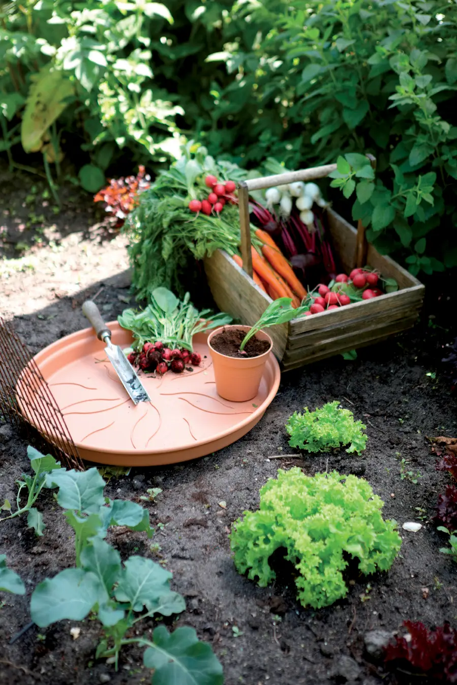 Elho Green Basics Saucer 14cm Mild Terracotta Colour - Image 3