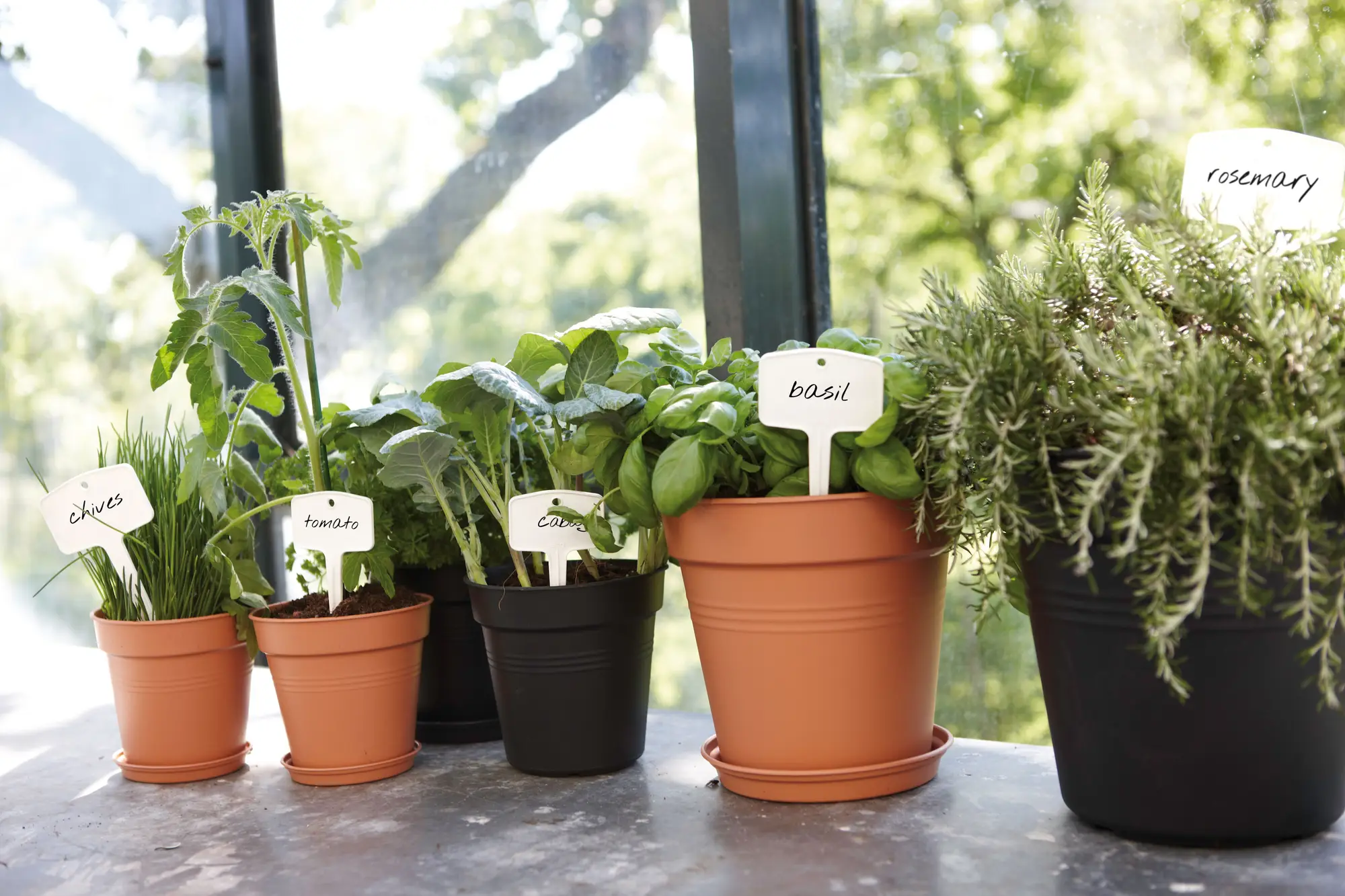 Elho Green Basics Saucer 14cm Mild Terracotta Colour - Image 4