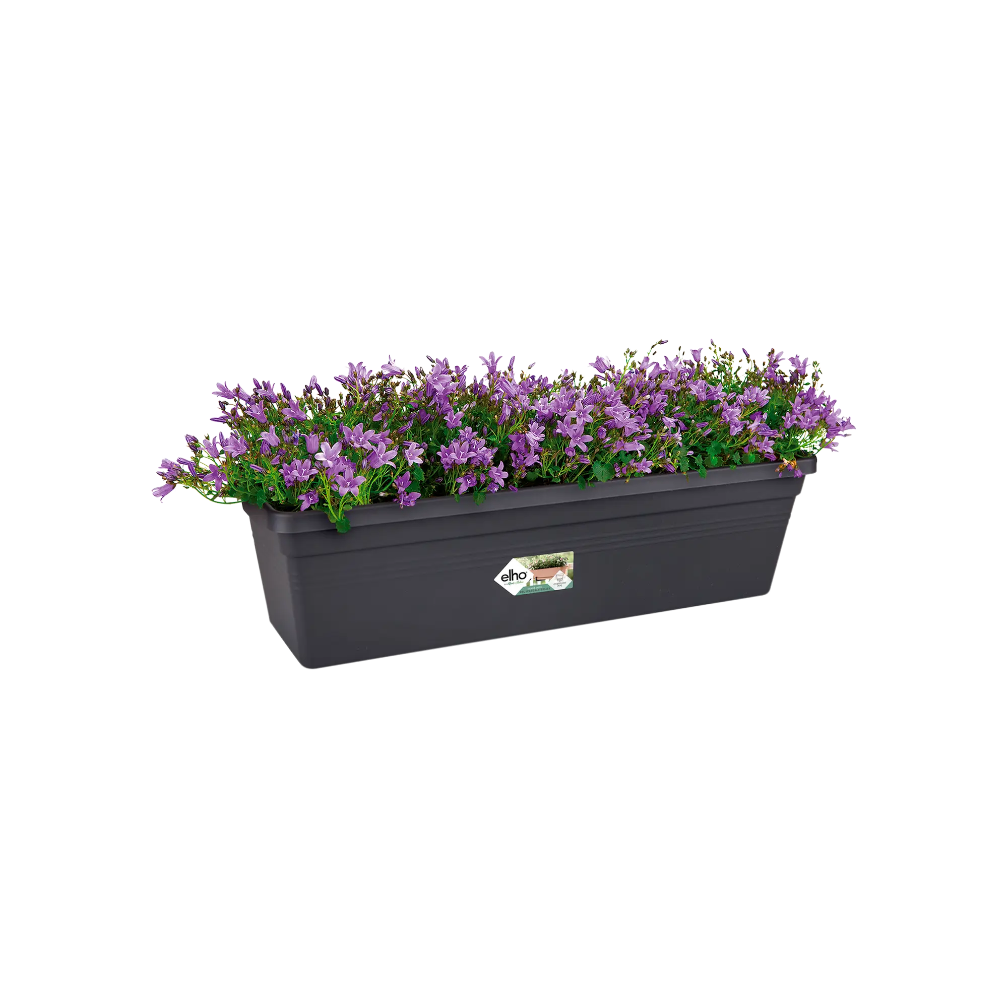 Elho Green Basics Trough 40cm Living Black - Image 3
