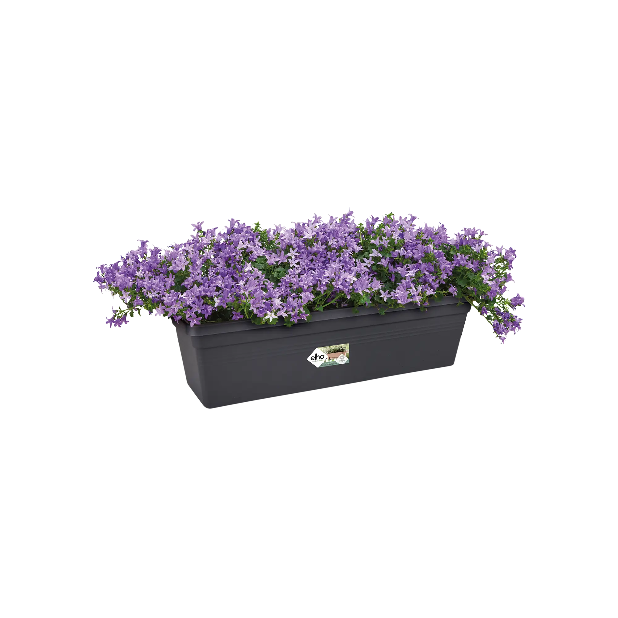 Elho Green Basics Trough 40cm Living Black - Image 4
